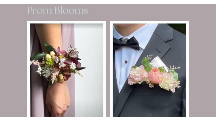 Prom 2024 Prom 2024