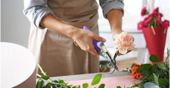 How to Keep Your Gifted Flowers Fresh: A Step-by-Step Guide How to Keep Your Gifted Flowers Fresh: A Step-by-Step Guide