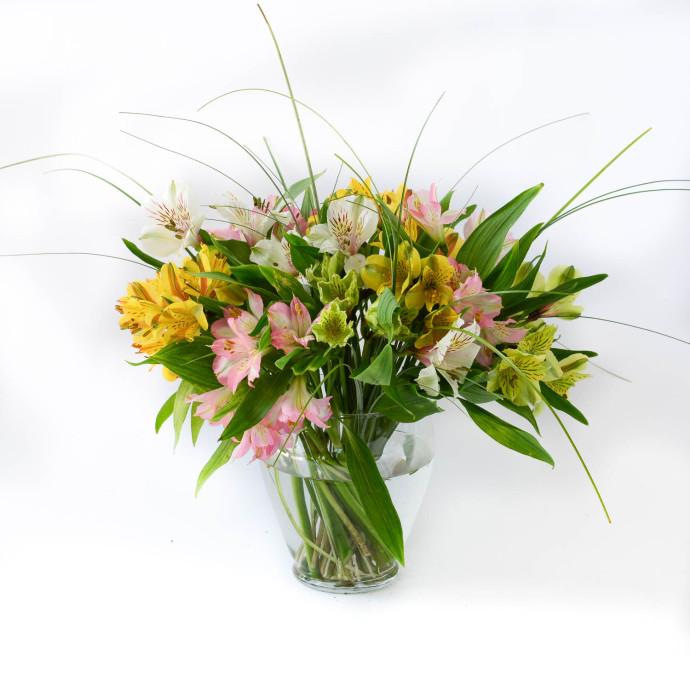 Alstromeria Galore Arrangement Alstromeria Galore Arrangement